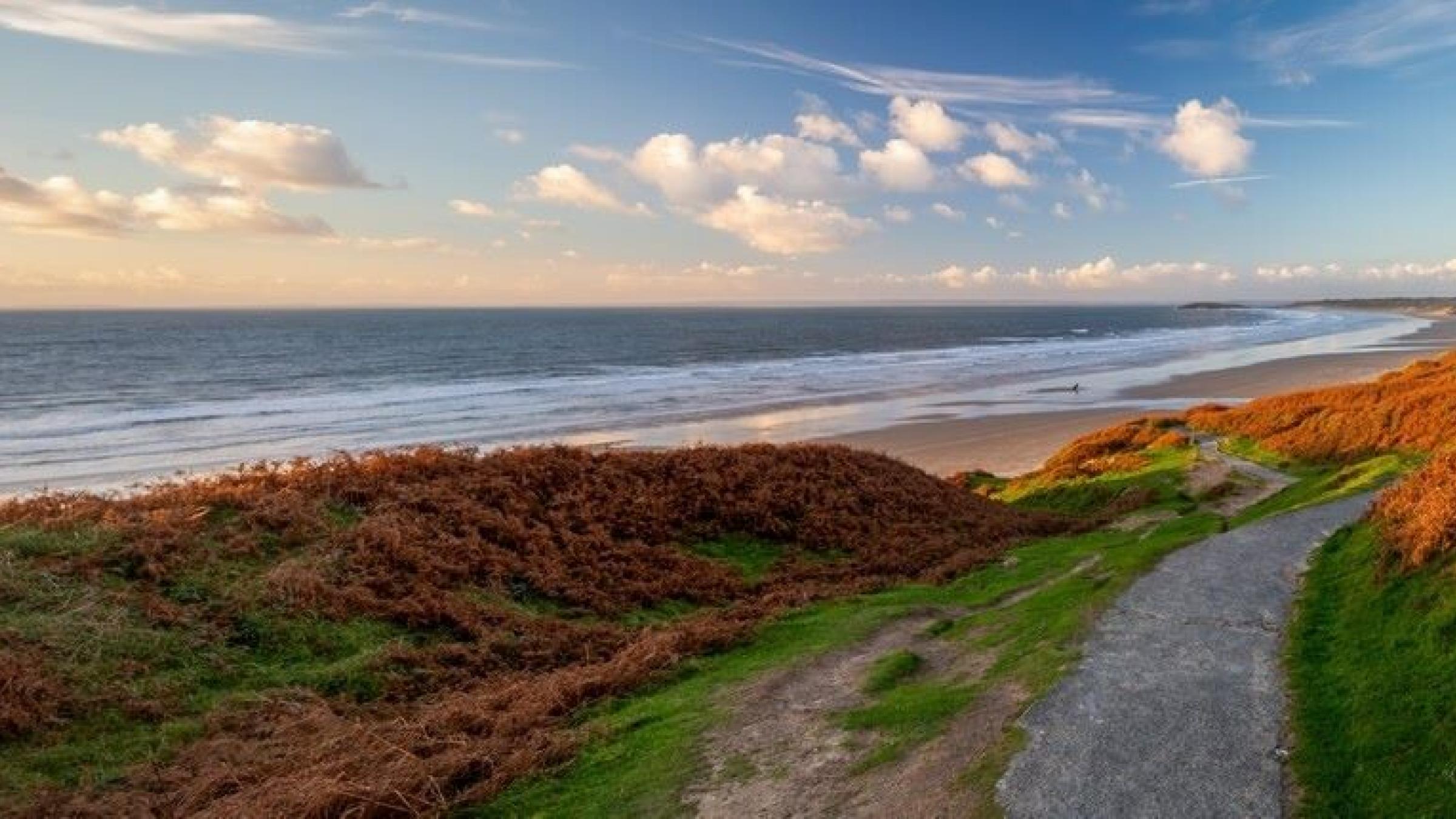 Gower Coastline with heather