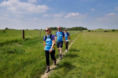 three trekkers walking through field