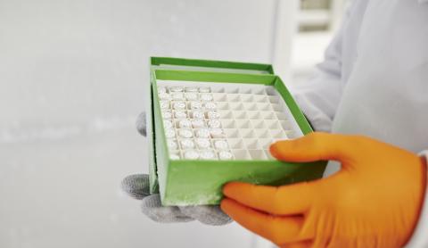 A gloved hand holding a box for research samples